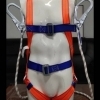 36768_0